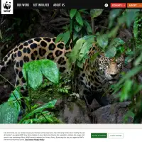     WWF World Wildlife Fund