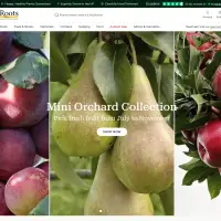 Roots Plants | Delivering Plants Fresh from the Best UK Growers